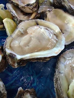 Oyster